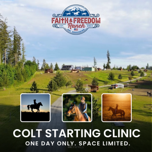 Colt Starting Clinic - August 10th
